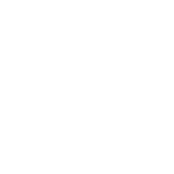 THE VVERSE